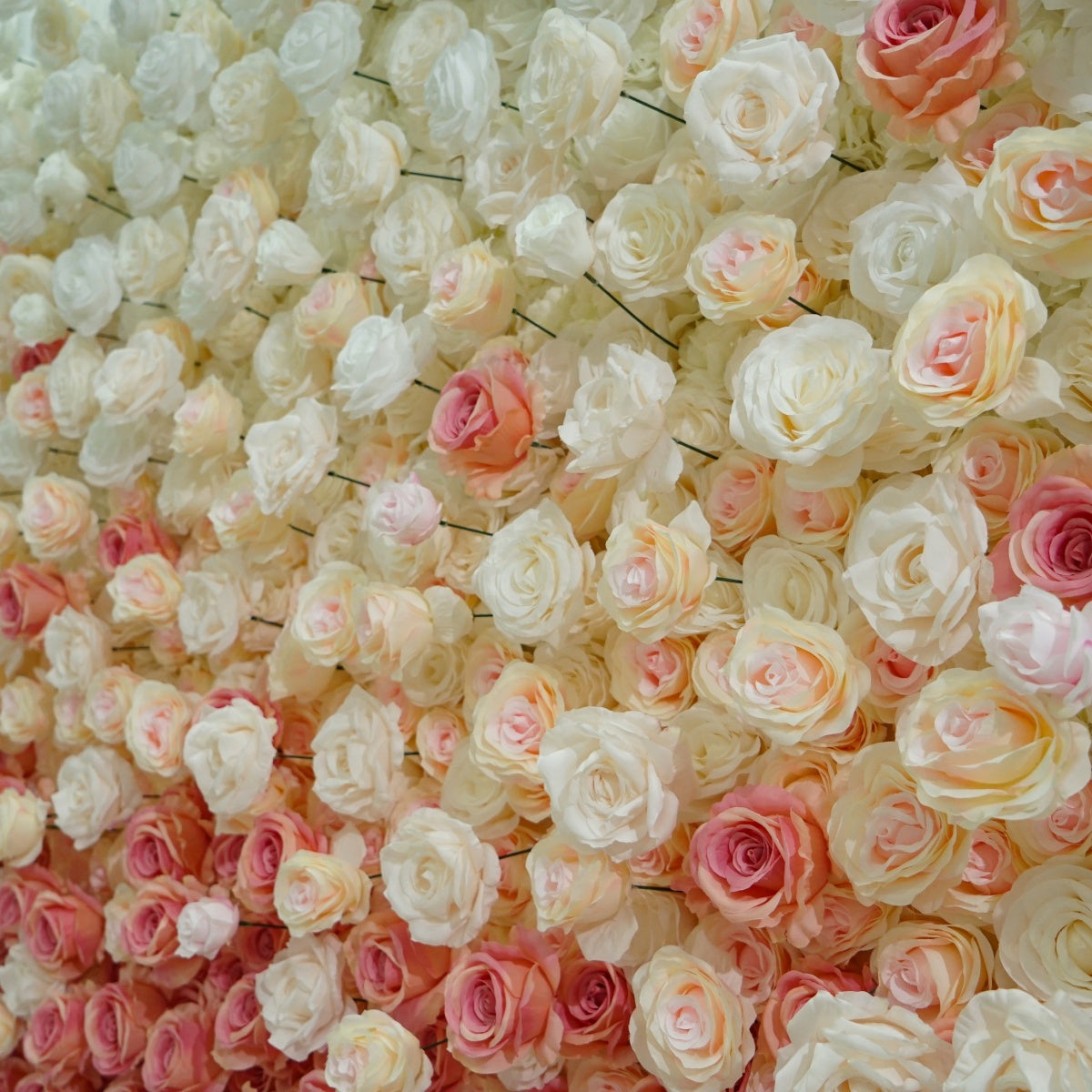 Red and White Rose Gradient Flower Walls