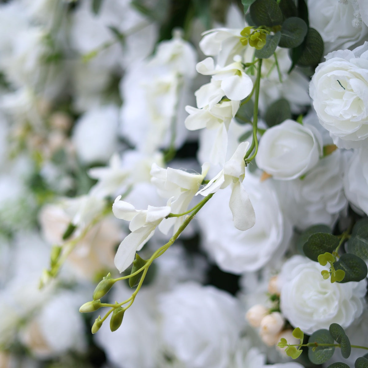 White Rose Flower Wall Backdrops