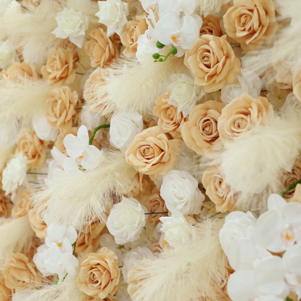 Reed-colored Phalaenopsis Orchid Flower Walls