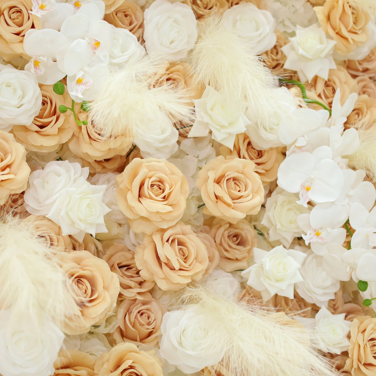 Reed-colored Phalaenopsis Orchid Flower Walls