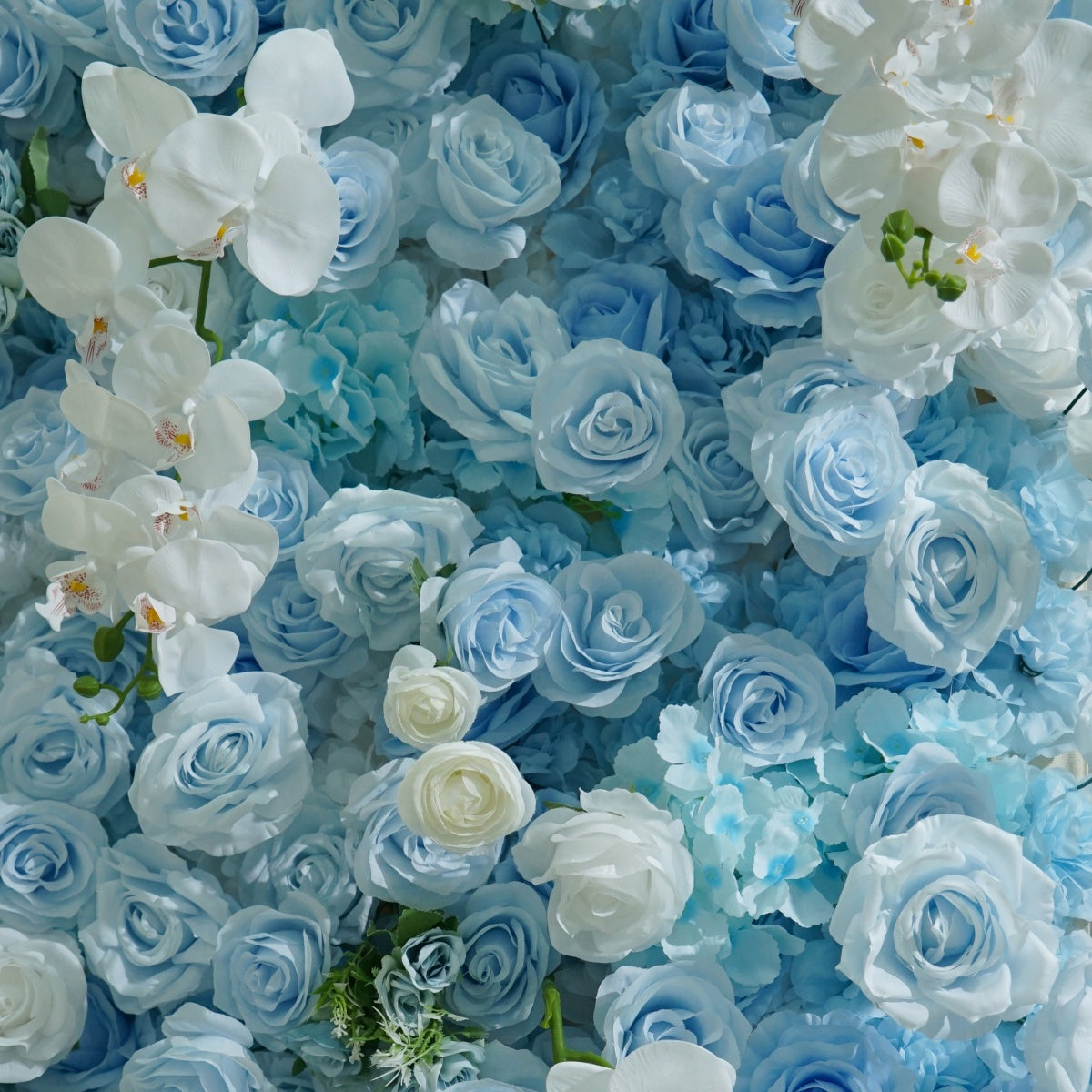Blue Yilanti Flower Walls