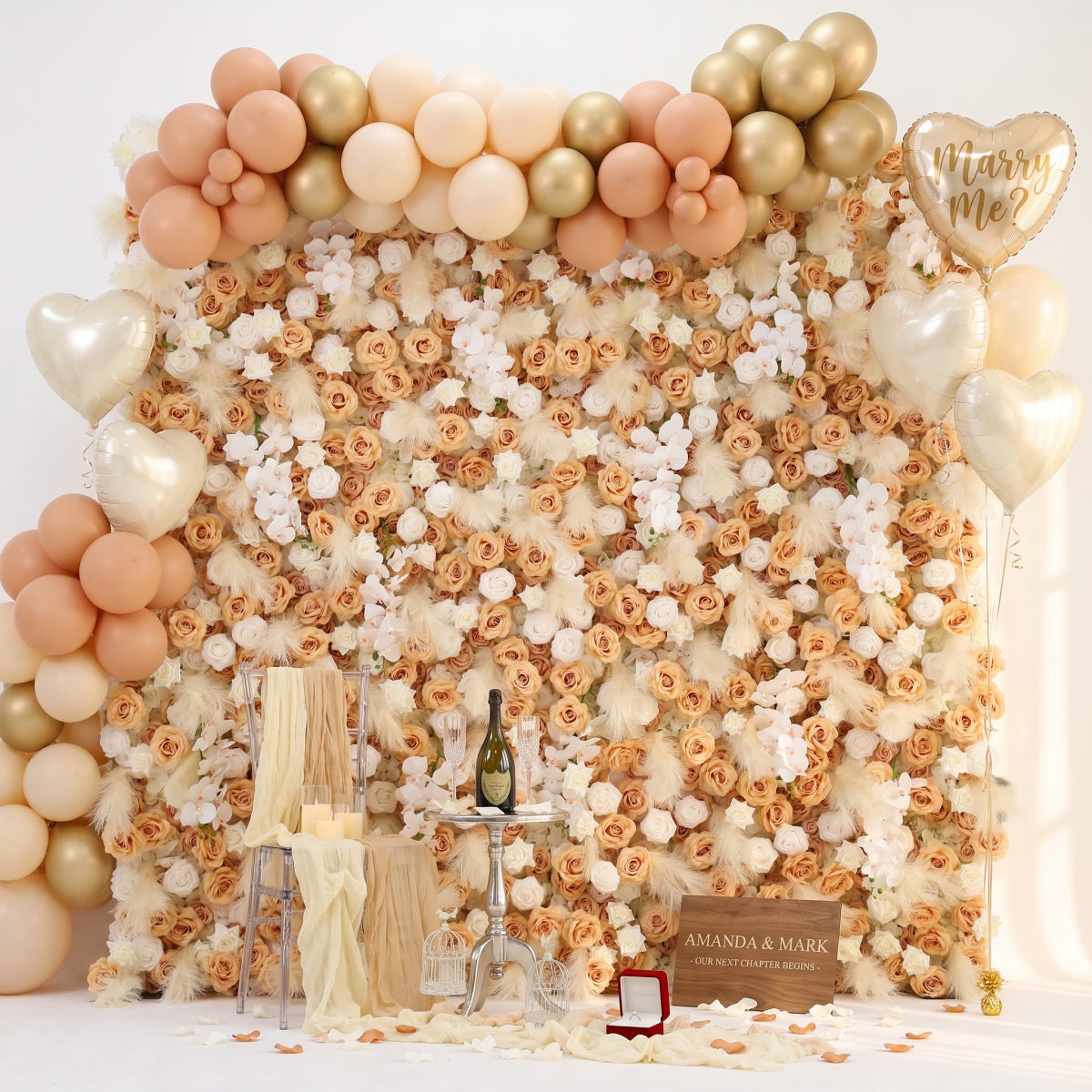 Reed-colored Phalaenopsis Orchid Flower Walls
