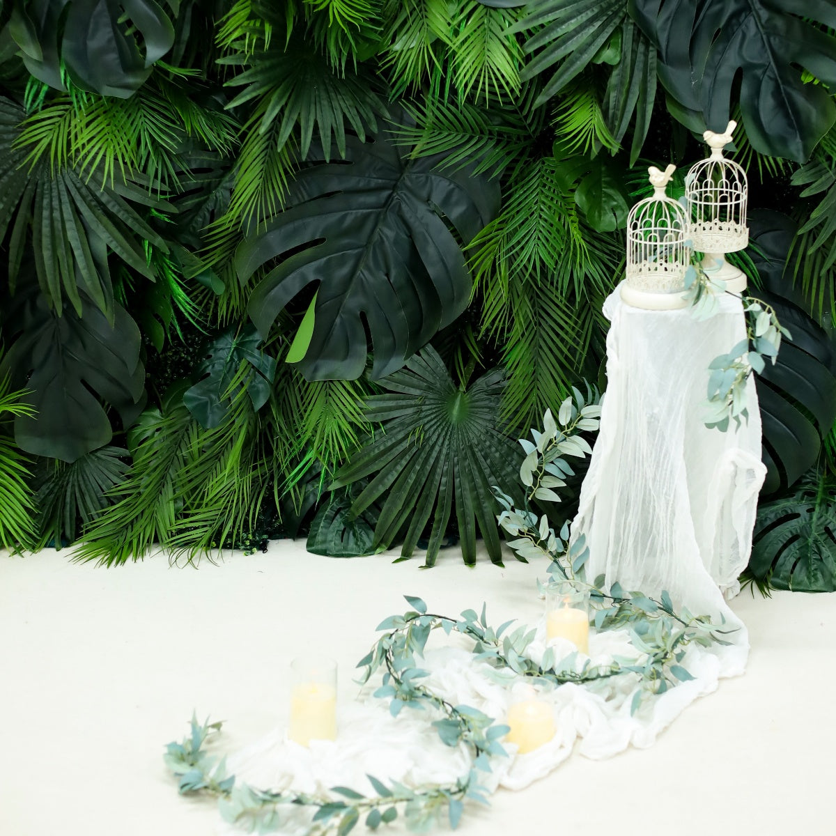 Monstera Rainforest Background