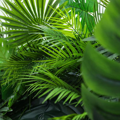 Monstera Rainforest Background