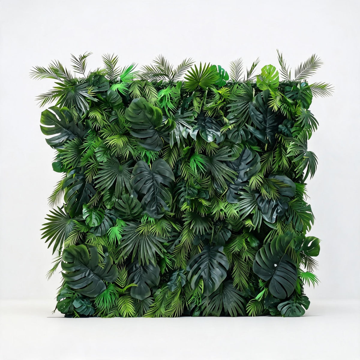 Monstera Rainforest Background