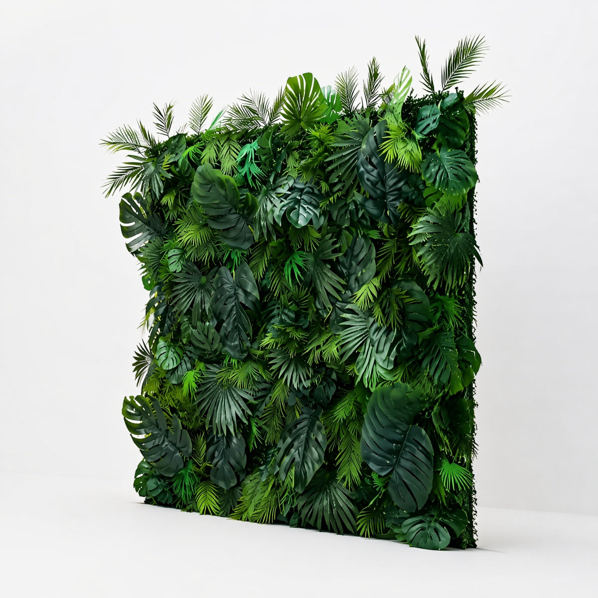 Monstera Rainforest Background