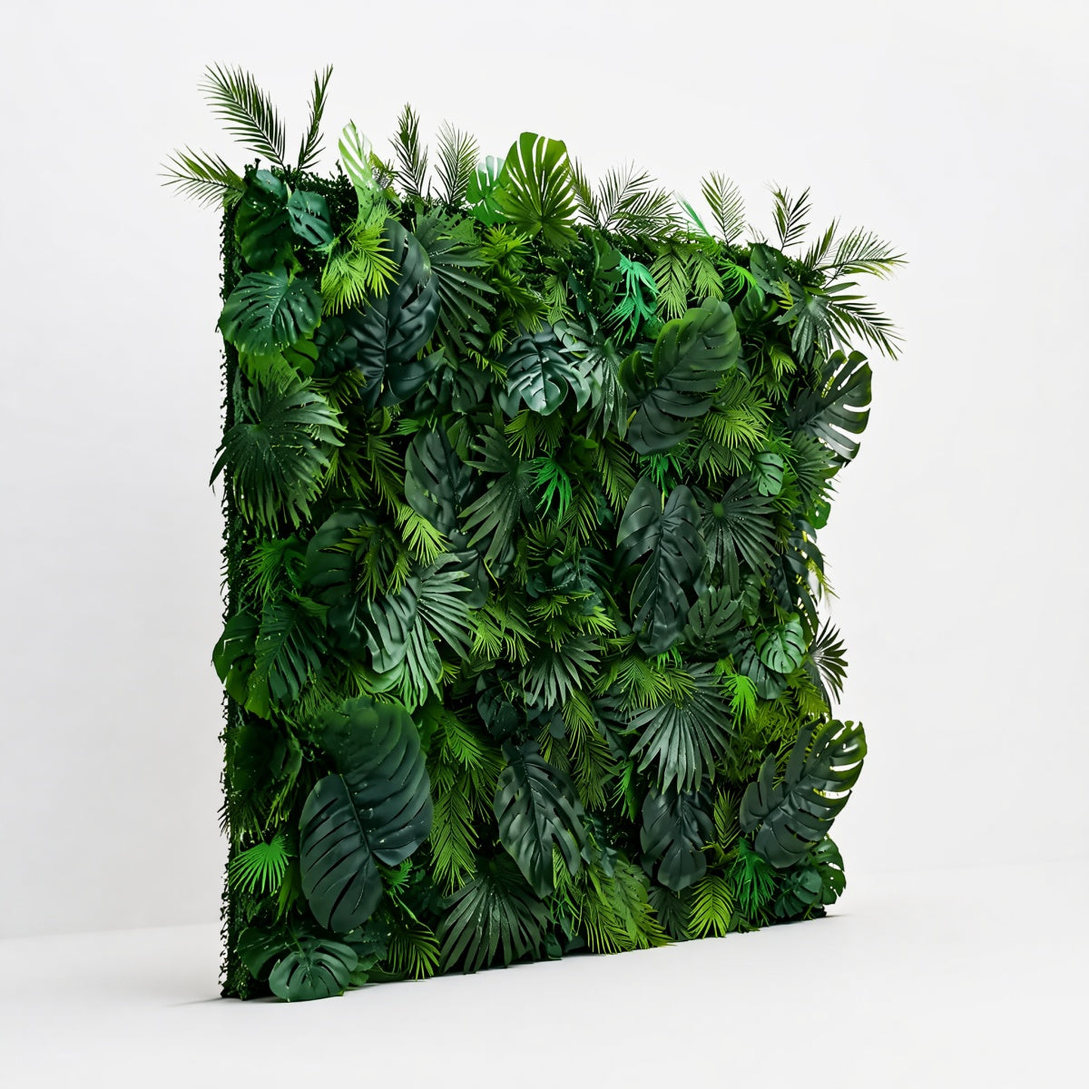 Monstera Rainforest Background