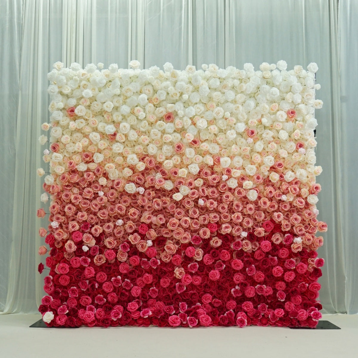 Red and White Rose Gradient Flower Walls