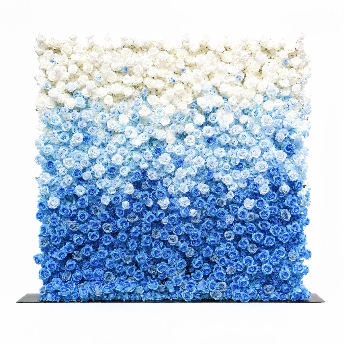 Blue and White Gradient Rose Walls
