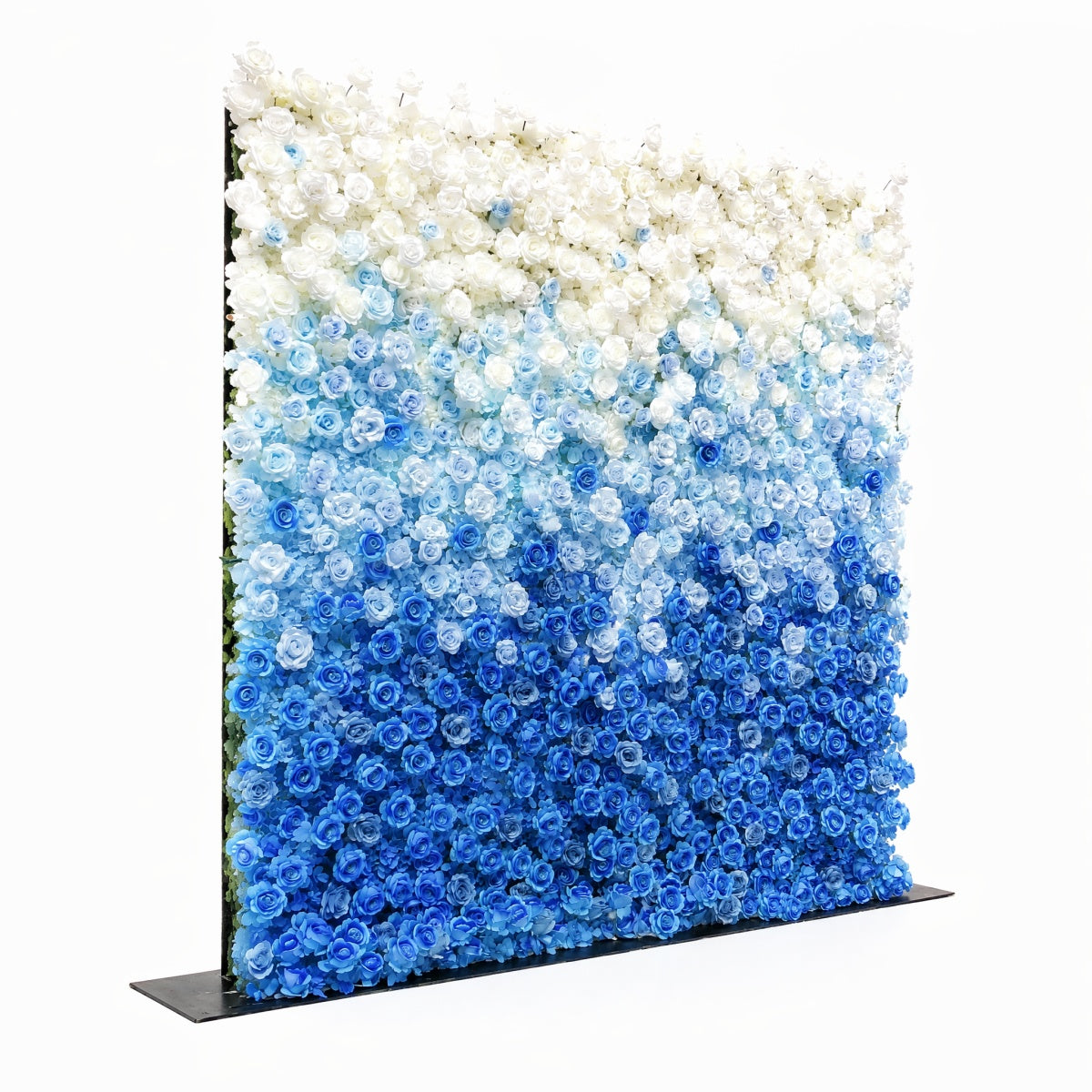Blue and White Gradient Rose Walls