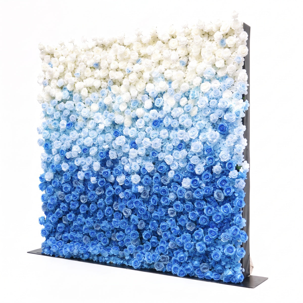 Blue and White Gradient Rose Walls