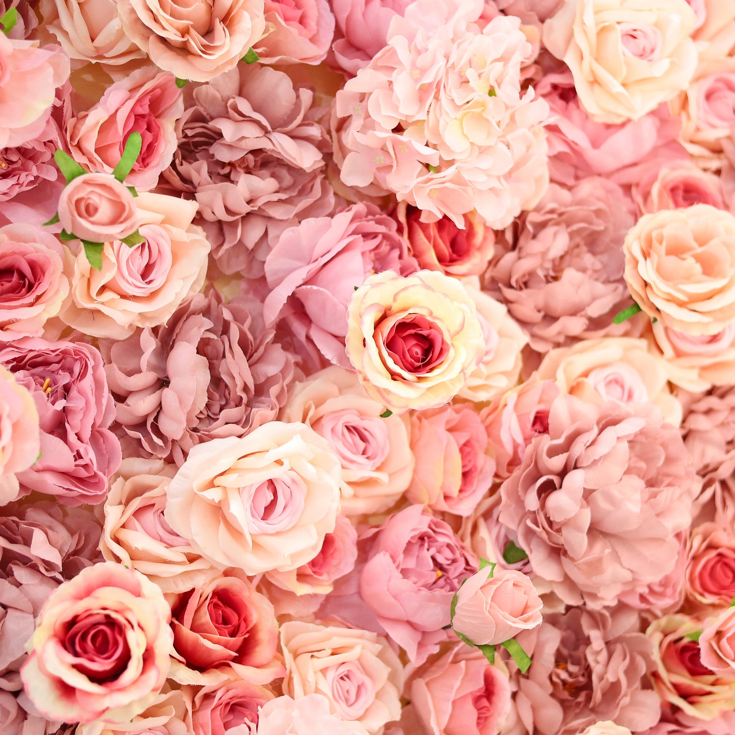 Pink Hydrangea Flower Walls