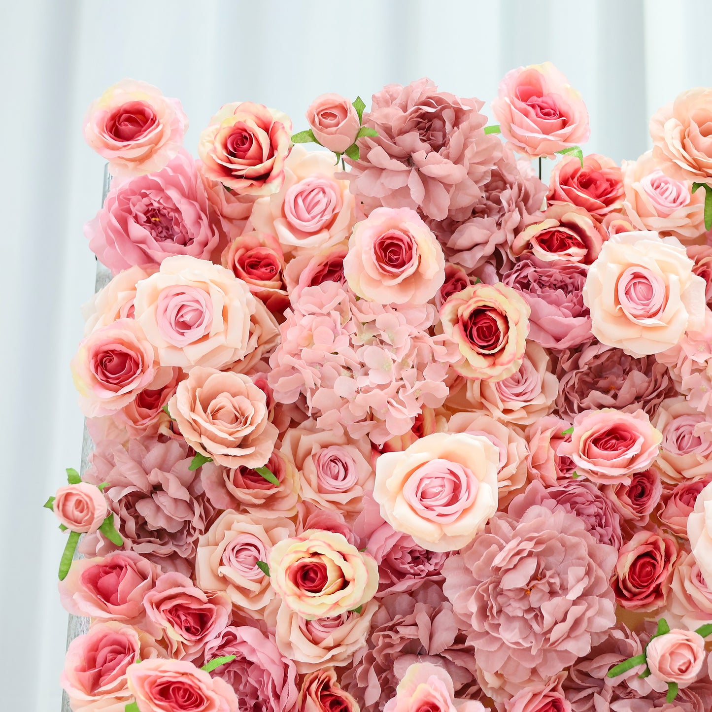 Pink Hydrangea Flower Walls