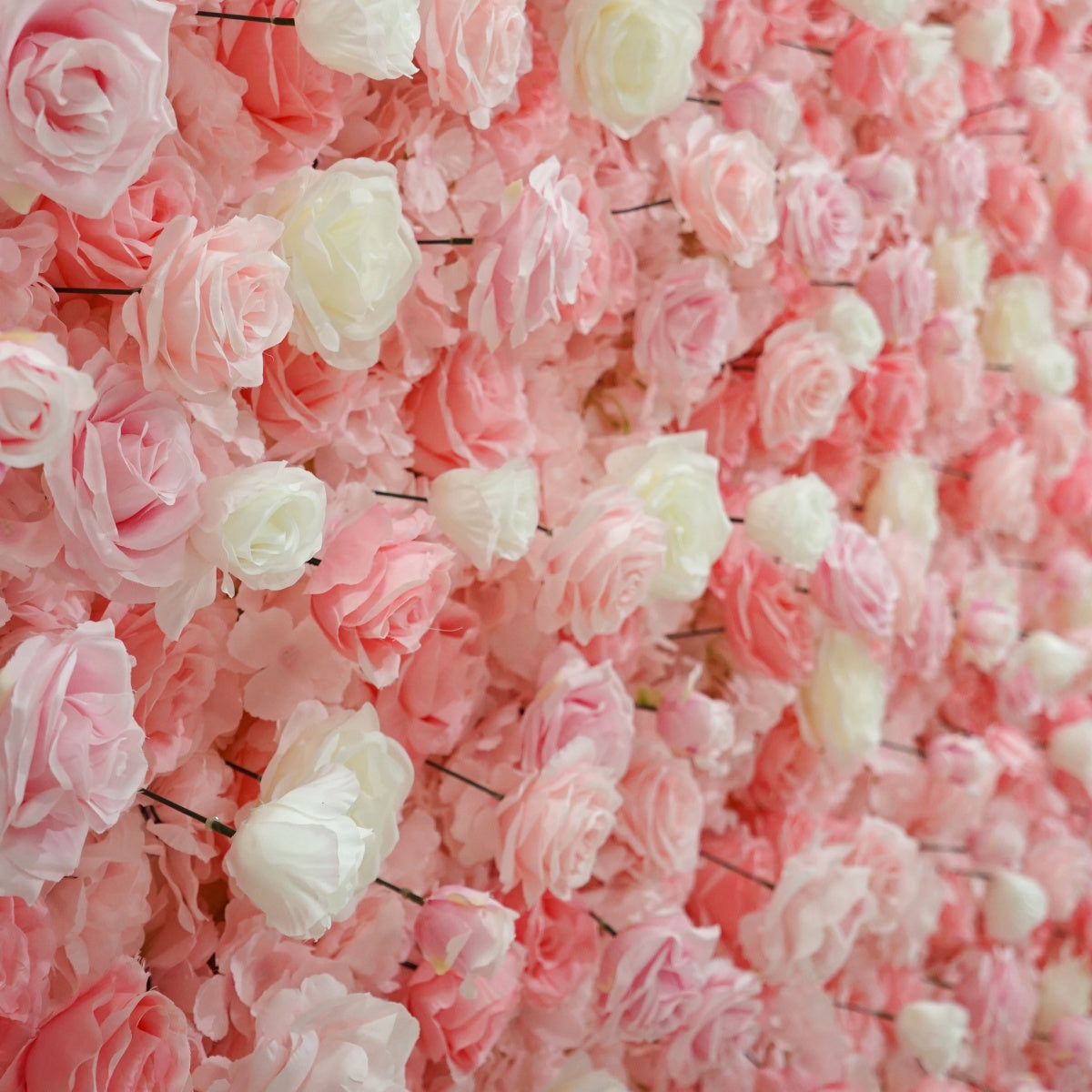 Light Pink Roses Flower Walls