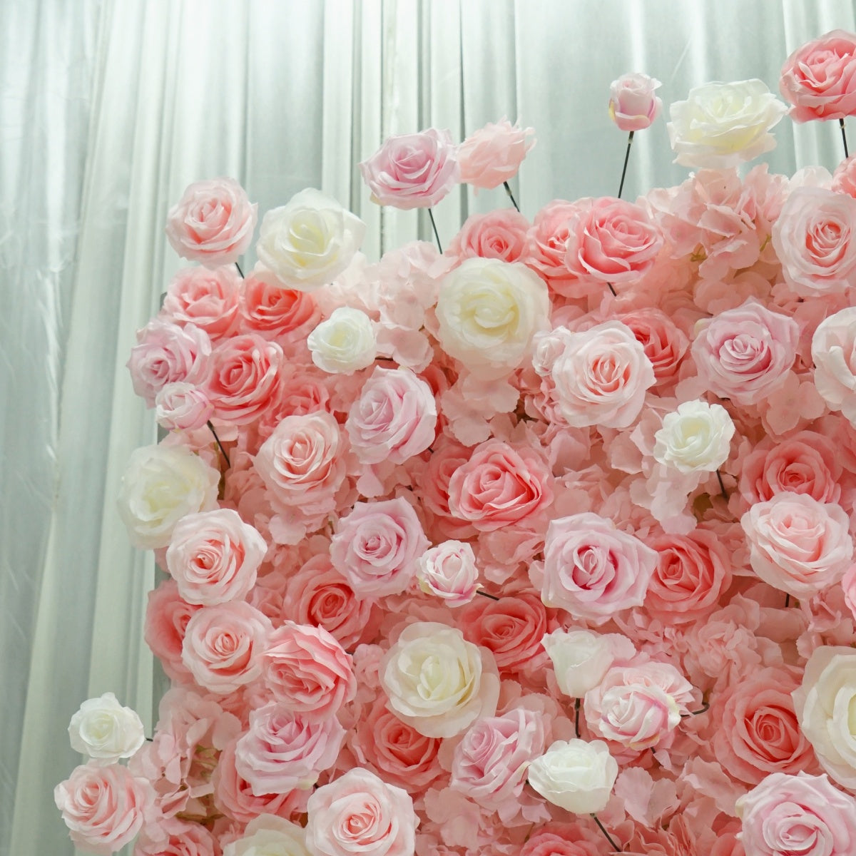 Light Pink Roses Flower Walls