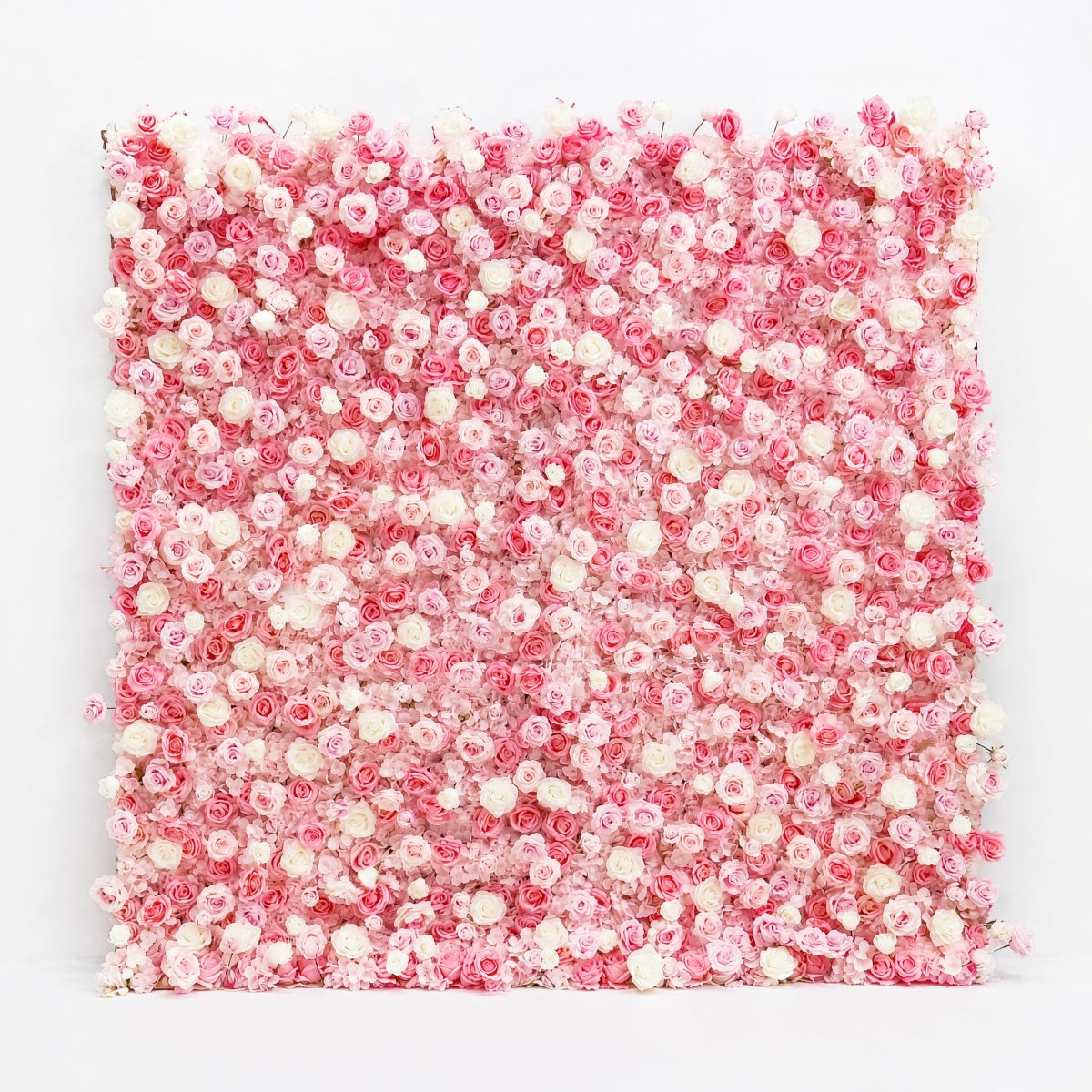 Light Pink Roses Flower Walls