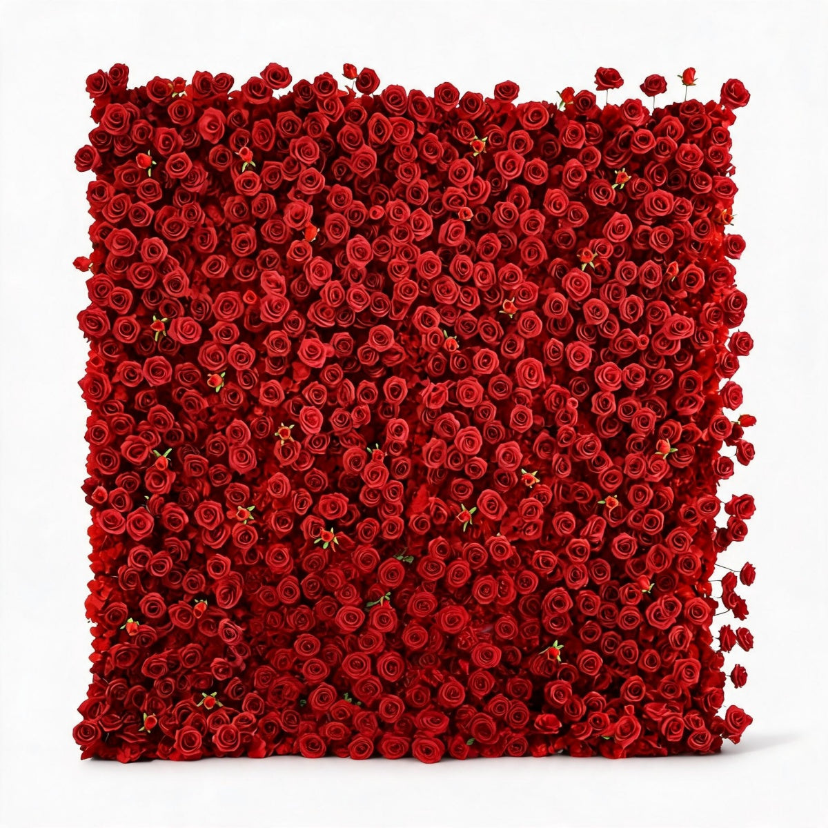 All Red Rose Flower Walls