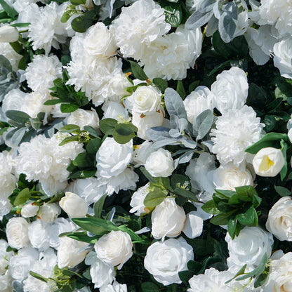 Peony & Ranunculus Flower Walls