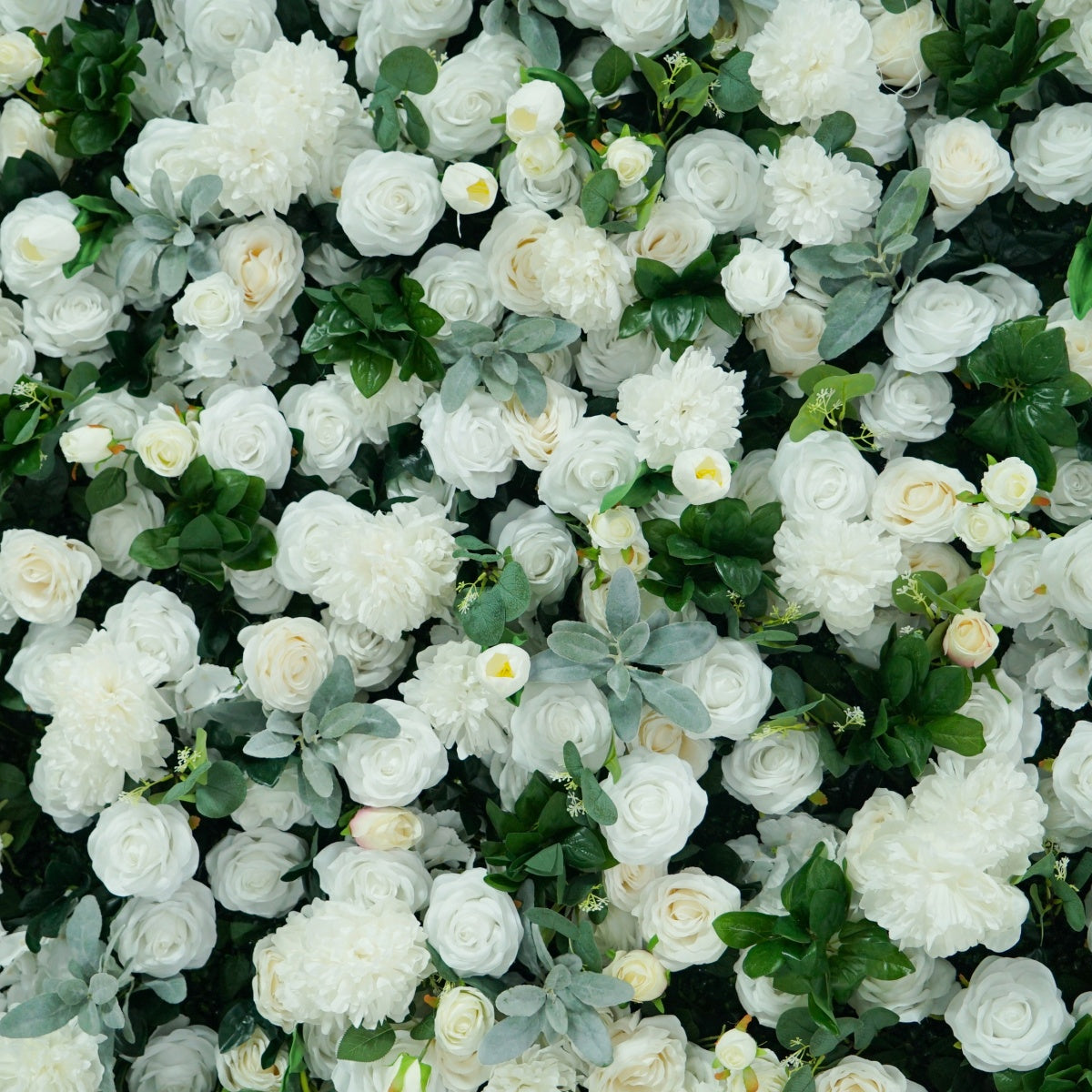 Peony & Ranunculus Flower Walls