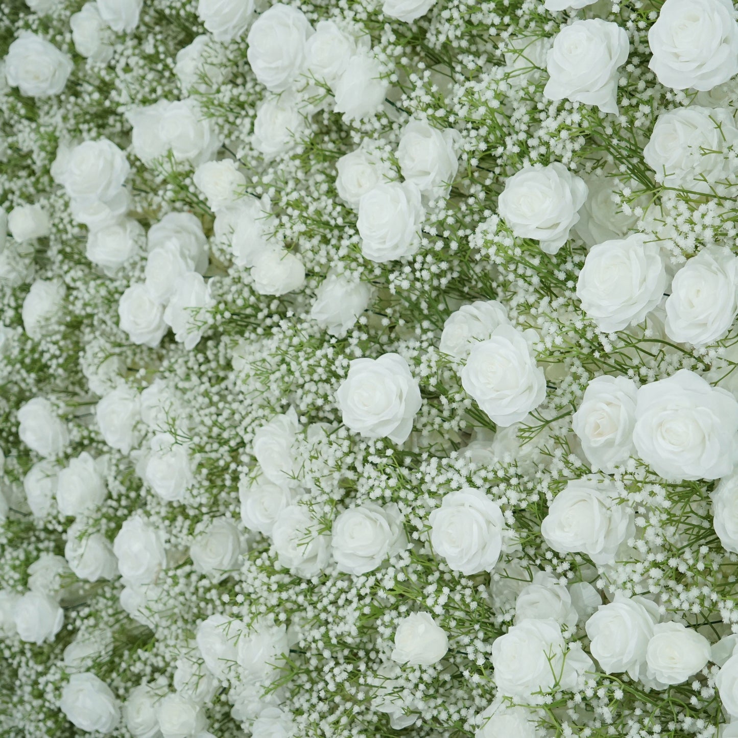 Baby's Breath Rose Flower Walls