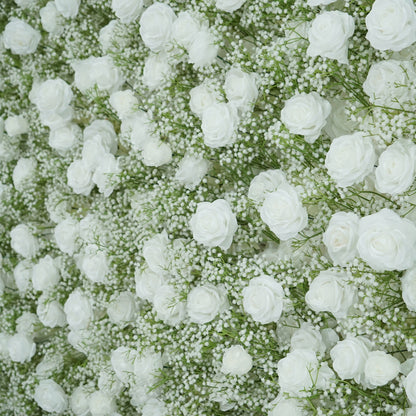 Baby's Breath Rose Flower Walls