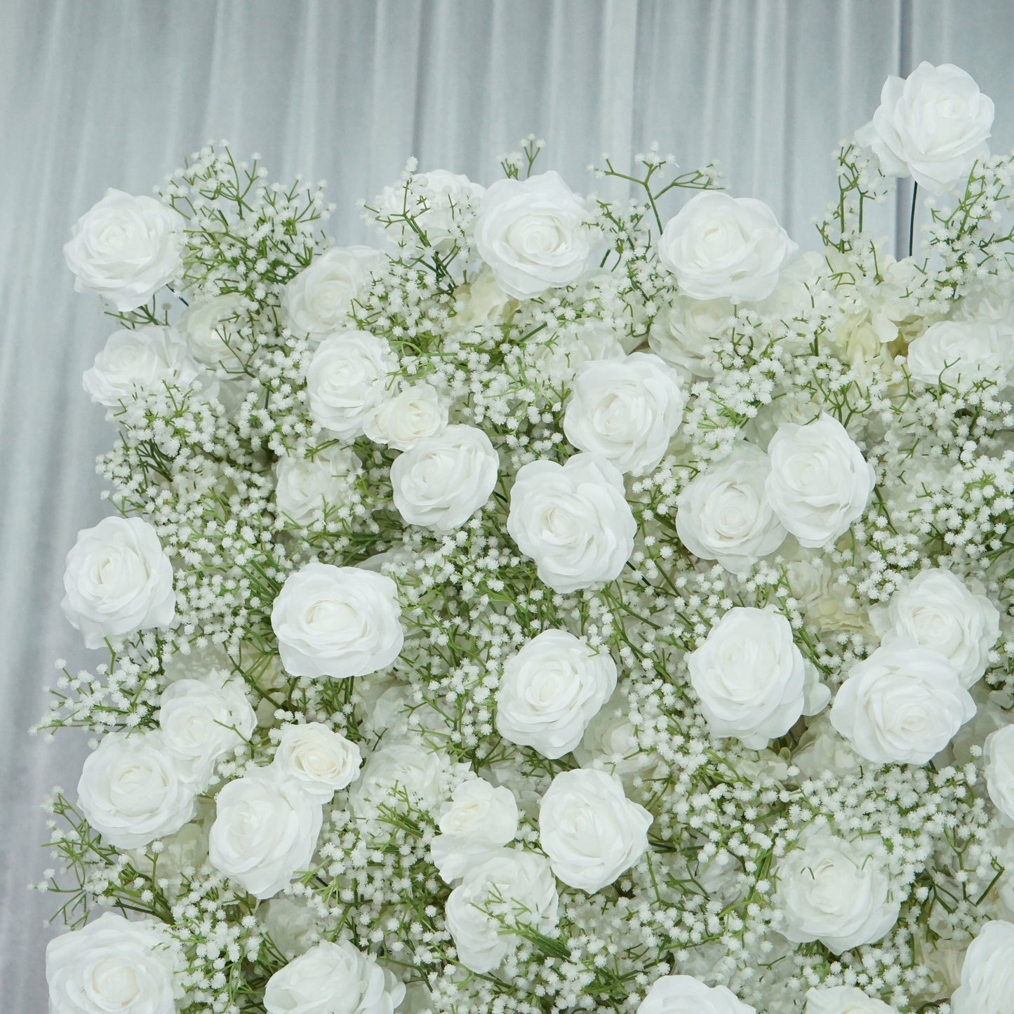 Baby's Breath Rose Flower Walls