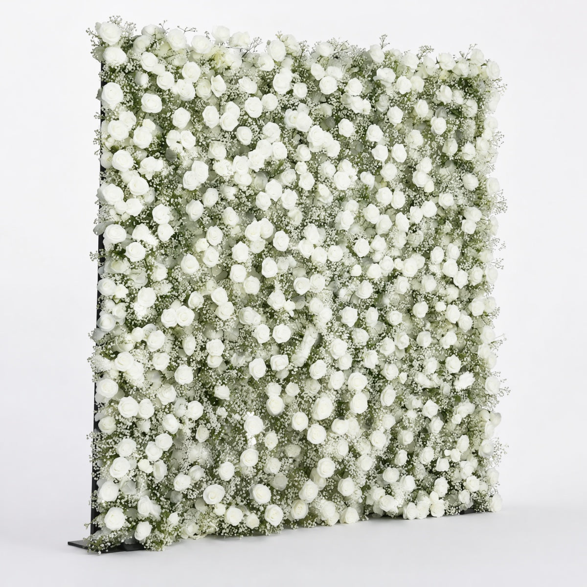 Baby's Breath Rose Flower Walls