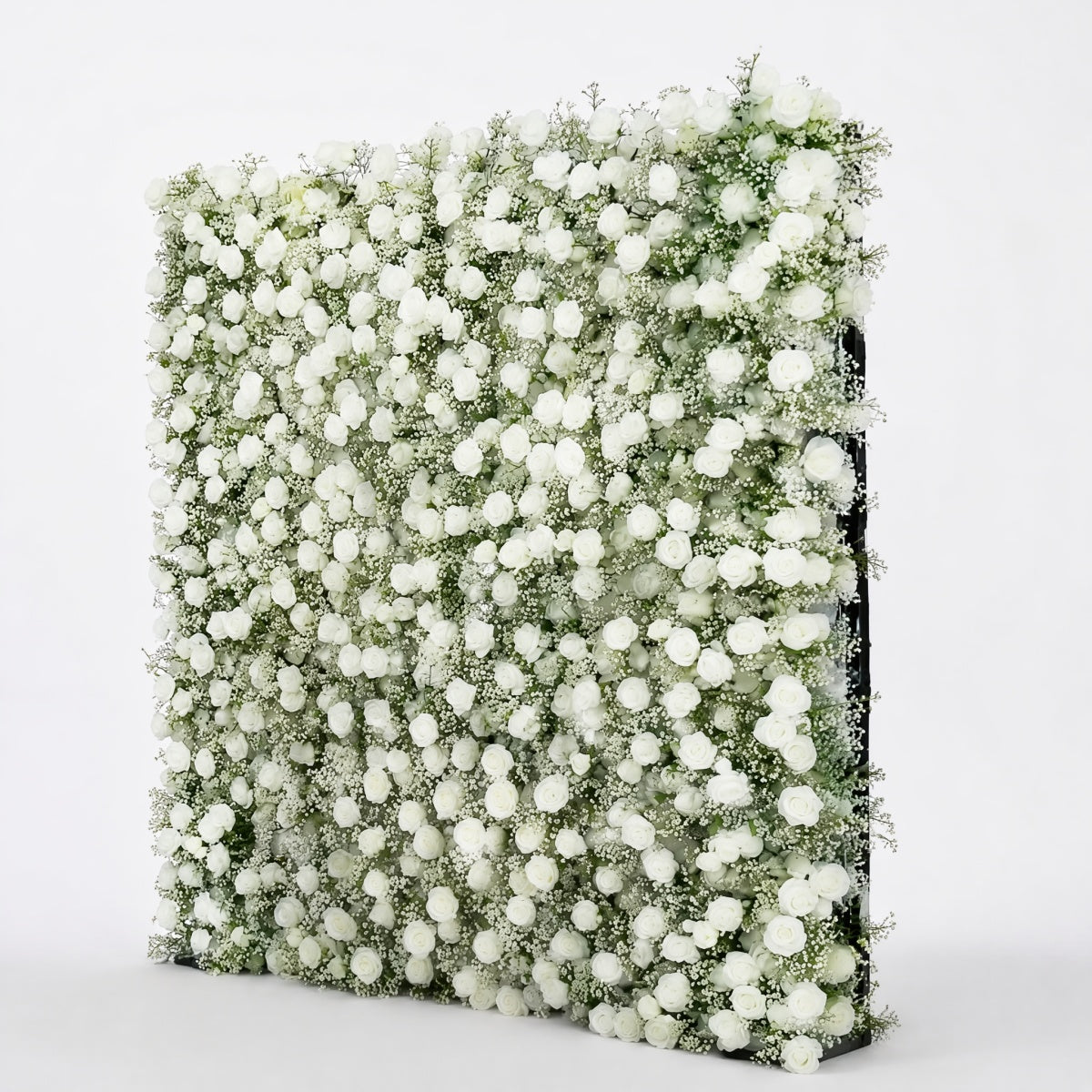 Baby's Breath Rose Flower Walls