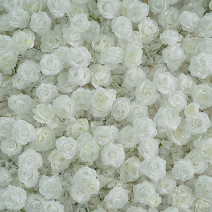 All White Rose Flower Walls