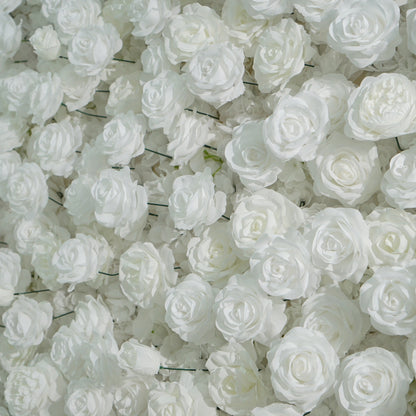All White Rose Flower Walls