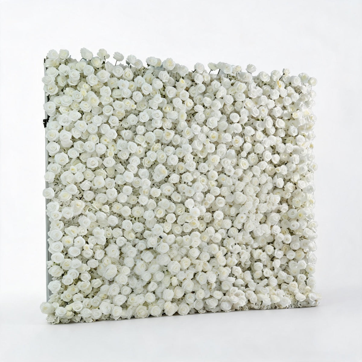 All White Rose Flower Walls