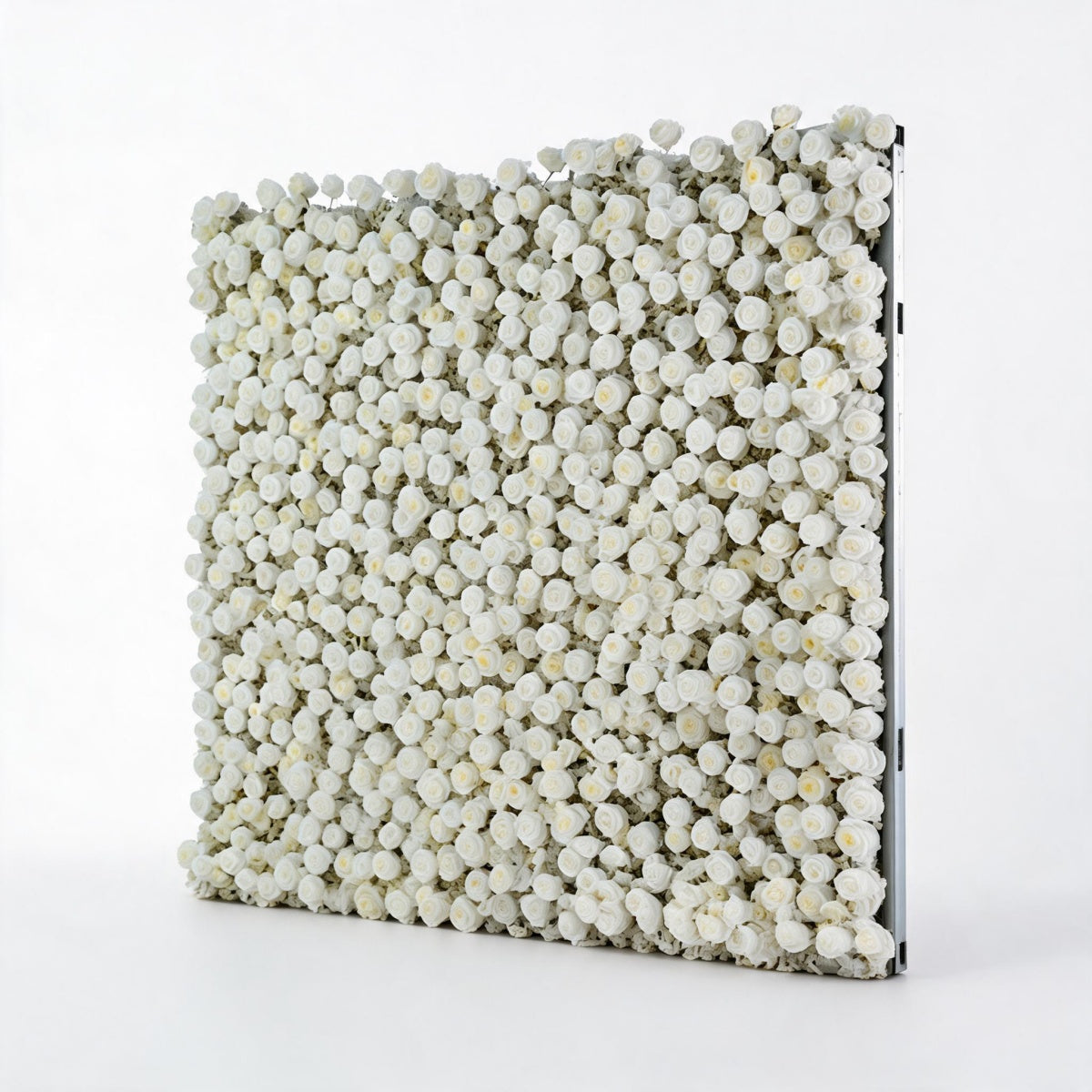All White Rose Flower Walls
