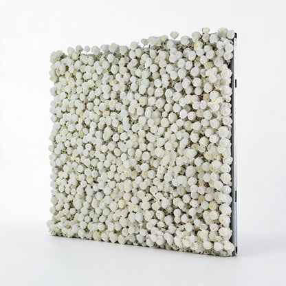 All White Rose Flower Walls